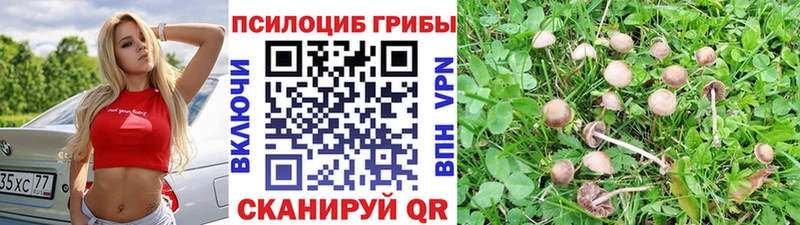 Псилоцибиновые грибы мицелий  Салехард 